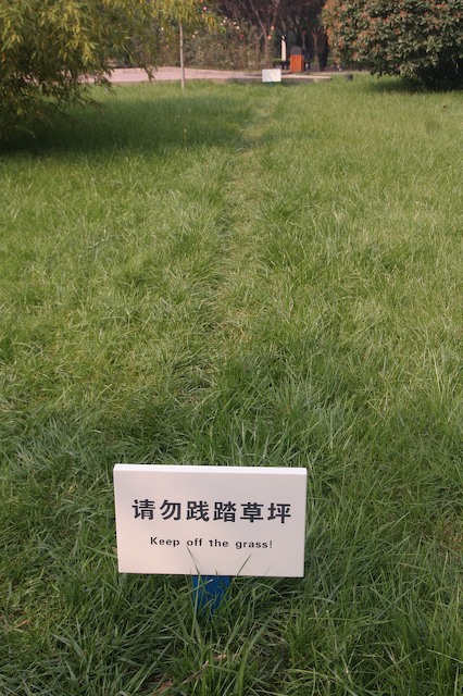 Xi'an 西安 5